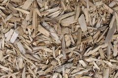 biomass boilers Hamp